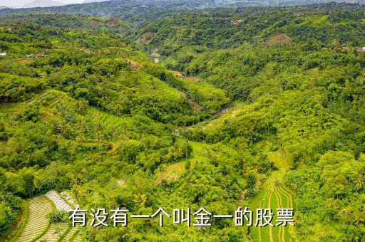 金一文化為什么停牌，金一文化什么時候復(fù)牌