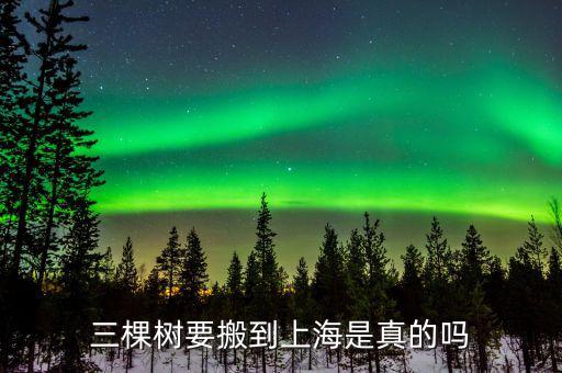 三棵樹什么時間上市，三棵樹要搬到上海是真的嗎