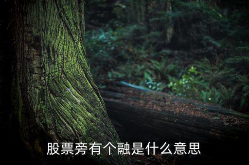 融買融賣是什么意思，股票旁有個(gè)融是什么意思
