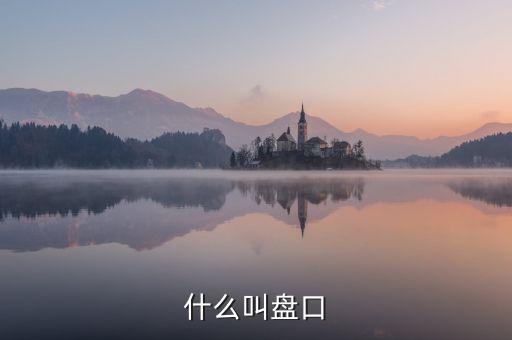 大盤口什么意思，大盤中的盤口是什么意思啊