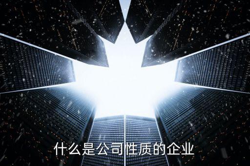 中期集團(tuán)是什么性質(zhì)的企業(yè)，集團(tuán)是什么性質(zhì)的公司