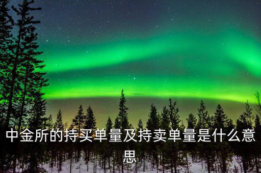 持買單量是什么意思，持賣單什么意思