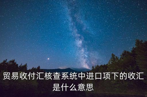 貿易收付匯核查系統(tǒng)中進口項下的收匯是什么意思