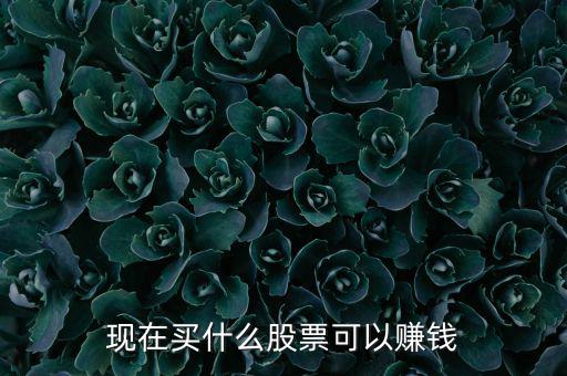 今年買什么股票可以賺錢，現(xiàn)在買什么股票可以賺錢