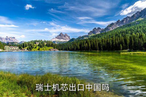 瑞士以什么出口為主，瑞士主要運(yùn)輸方式是什么