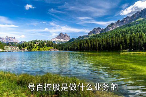 號百控股什么概念，號百控股是做什么業(yè)務的