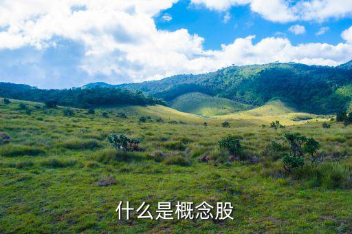什么叫概念股，什么是概念股