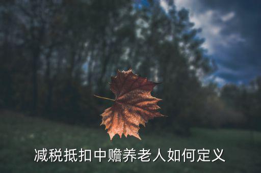 什么是減稅養(yǎng)老，減稅抵扣中贍養(yǎng)老人如何定義