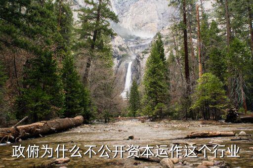 資本運(yùn)作為什么不公開(kāi)，政俯為什么不公開(kāi)資本運(yùn)作這個(gè)行業(yè)