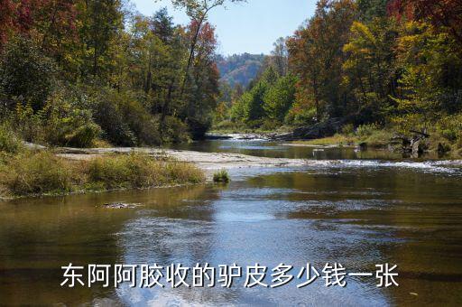 東阿阿膠股2012年是什么價(jià)位，誰知道山東東阿阿膠股份有限公司生產(chǎn)的補(bǔ)血膏多少錢一平300克的