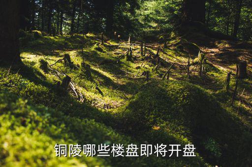 銅陵未來有什么大項(xiàng)目，未來銅陵會(huì)有六條鐵路嗎