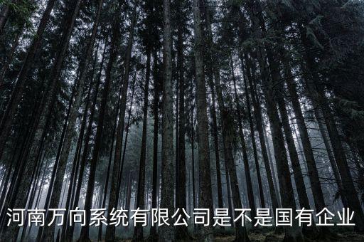 萬向集團(tuán)是什么企業(yè)，萬向集團(tuán)公司是哪一家公司設(shè)計(jì)的