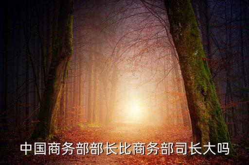 商務(wù)部部長什么級別，商務(wù)部部長多大的官