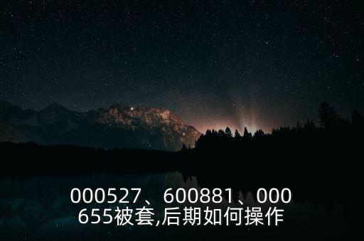 000527、600881、000655被套,后期如何操作