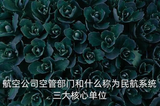 航空公司空管部門(mén)和什么稱為民航系統(tǒng)三大核心單位