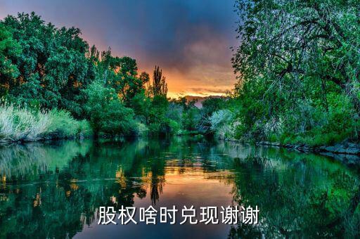 荃銀高科股權(quán)什么時(shí)候兌現(xiàn)，股權(quán)啥時(shí)兌現(xiàn)謝謝