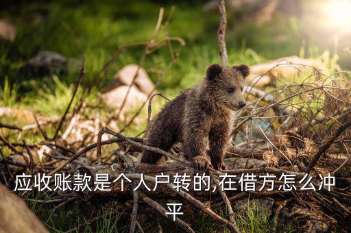 怎么平其他應(yīng)收款帳,同志貸款轉(zhuǎn)賬賬戶(hù)財(cái)務(wù)收據(jù)