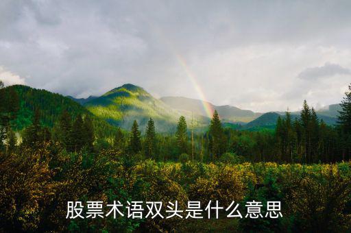 什么是大盤做雙頭，股票術(shù)語雙頭是什么意思