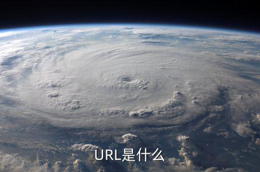 久其費(fèi)控url是什么，URL是什么意思