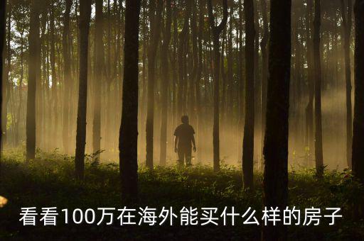 100萬在國外能買什么，看看100萬在海外能買什么樣的房子
