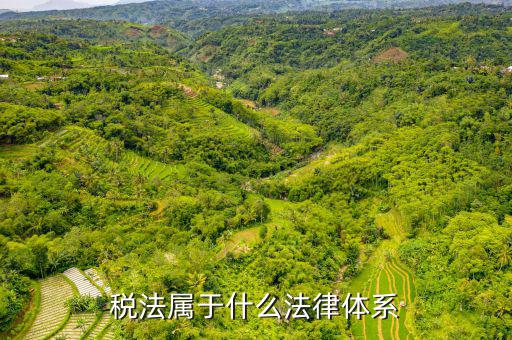 企業(yè)所得稅法屬于什么法，企業(yè)所得稅法是怎樣的
