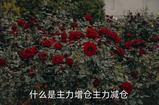 主力增減倉什么意思，什么是主力增倉主力減倉
