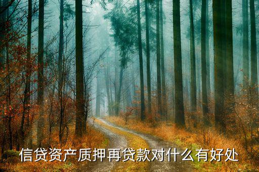 信貸資產(chǎn)質(zhì)押再貸款是什么意思，信貸資產(chǎn)質(zhì)押再貸款是什么意思