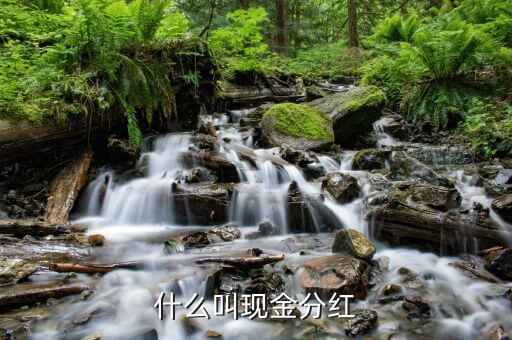 理財(cái)產(chǎn)品現(xiàn)金分紅是什么意思，現(xiàn)金分紅是什么意思