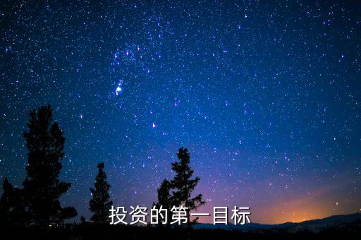 投資目標是什么，企業(yè)投資戰(zhàn)略收益性目標有哪些