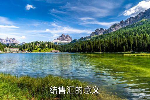 為什么外匯結(jié)匯，結(jié)售匯的意義