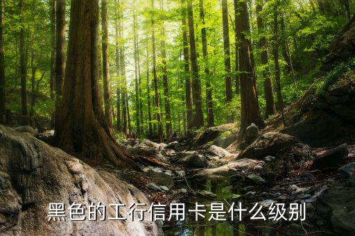 工商銀行的黑卡有什么權限，工行是不是出了一款運通黑卡啊我想問的是想申請運通黑卡要在當?shù)?/></a></span><span id=
