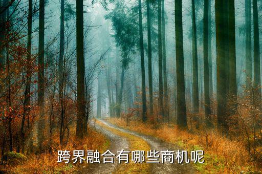什么是跨界融合，跨界融合有哪些商機呢