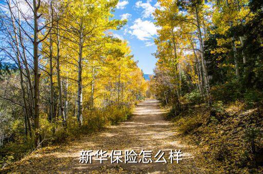 明星買什么新華保險(xiǎn)嗎，買新華保險(xiǎn)受益嗎