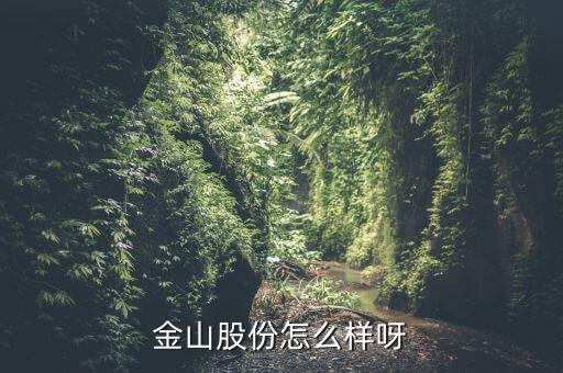 為什么沒(méi)人關(guān)注金山股份，金山股份怎么樣呀