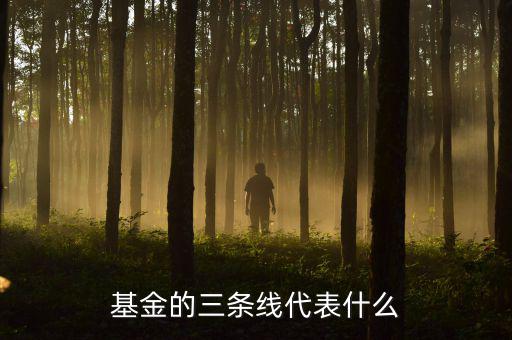 基金滬深兩條線(xiàn)是什么意思，這基金的幾條線(xiàn)分別代表什么意思