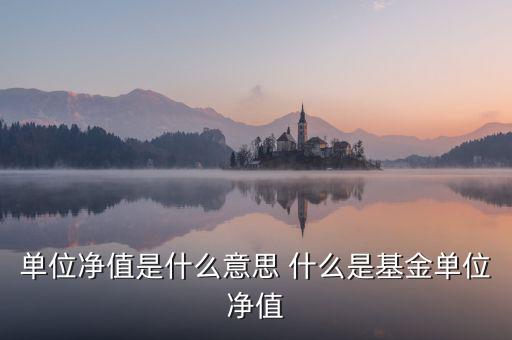 單位凈值什么意思，單位凈值是什么意思