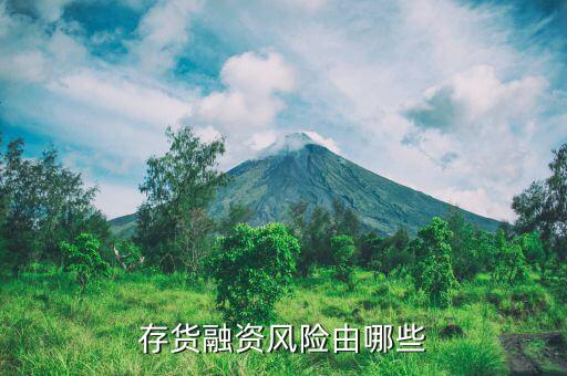存貨類融資包括什么，結(jié)構融資的分類