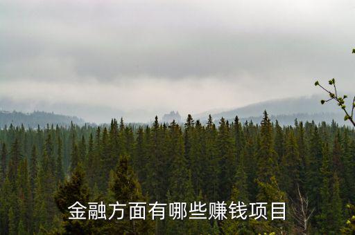 金融里什么賺錢，金融方面有哪些賺錢項目
