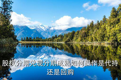 什么叫股權(quán)成熟期，VCPE什么意思