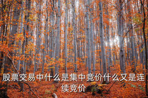 集合競價是什么意思，股票交易中什么是集中競價什么又是連續(xù)競價
