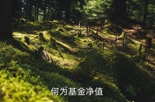 什么叫基金凈值，基金凈值是什么意思