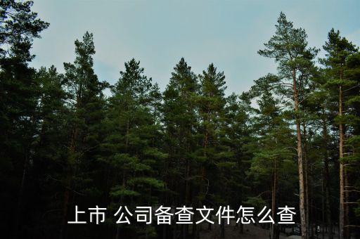 上市公司怎么查詢(xún),美國(guó)95%企業(yè)上市-2/查詢(xún)方法