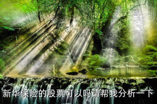新華保險(xiǎn)為什么股票漲這么多，新華保險(xiǎn)的股票可以嗎請(qǐng)幫我分析一下