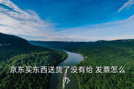 京東買東西送貨了沒(méi)有給 發(fā)票怎么辦
