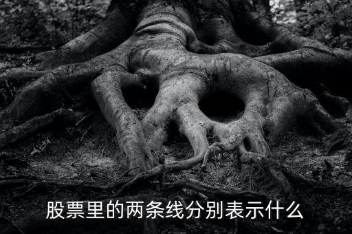 股票伴侶線代表什么，股票行情圖線的意義