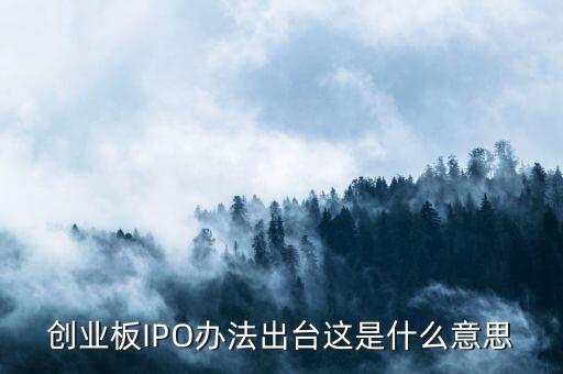 創(chuàng)業(yè)板ipo是什么意思，什么是創(chuàng)業(yè)板IPO泡沫