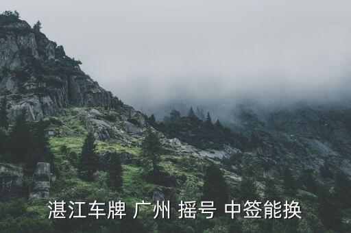 廣州搖號(hào)中簽怎么過(guò)戶,新能源汽車如何申請(qǐng)上牌?