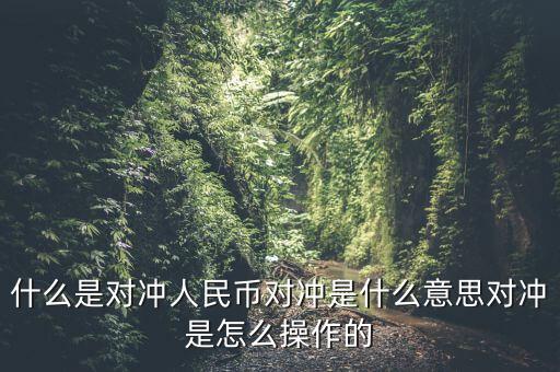 什么是基金a基金b對(duì)沖，什么是對(duì)沖人民幣對(duì)沖是什么意思對(duì)沖是怎么操作的