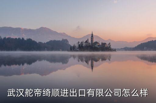 漢口北電商集團怎么樣,阿里巴巴在國內創(chuàng)辦第一所淘寶商學院