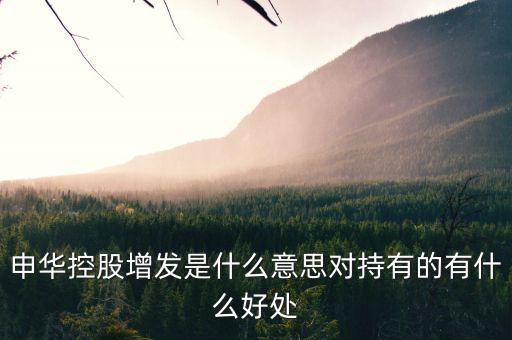 申華控股是什么板塊，申華控股怎么樣